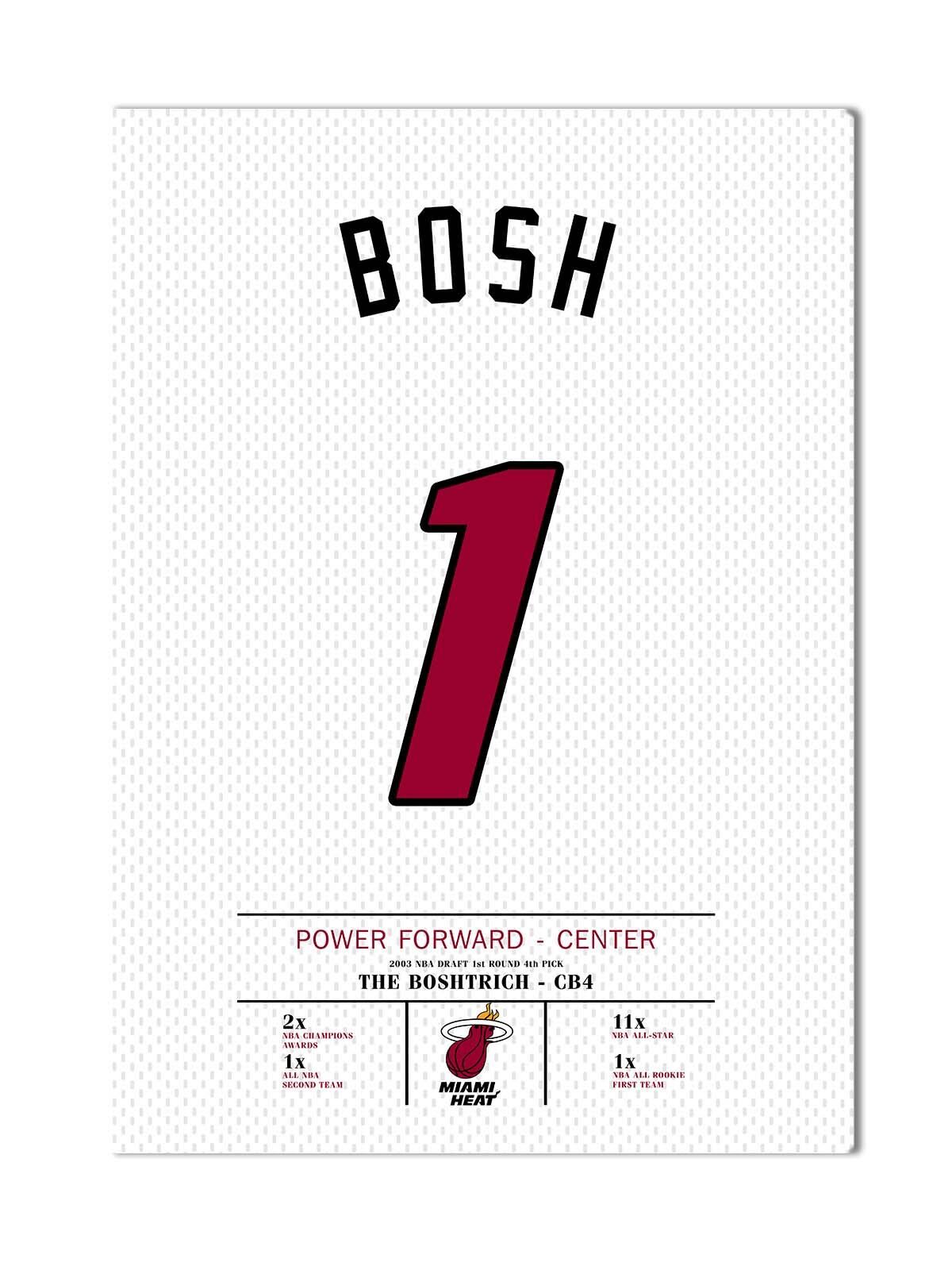 Chris Bosh Forma Kanvas Tablo 40x55cm NBA Miami Heat Jersey