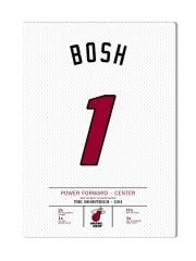 Chris Bosh Forma Kanvas Tablo 40x55cm NBA Miami Heat Jersey