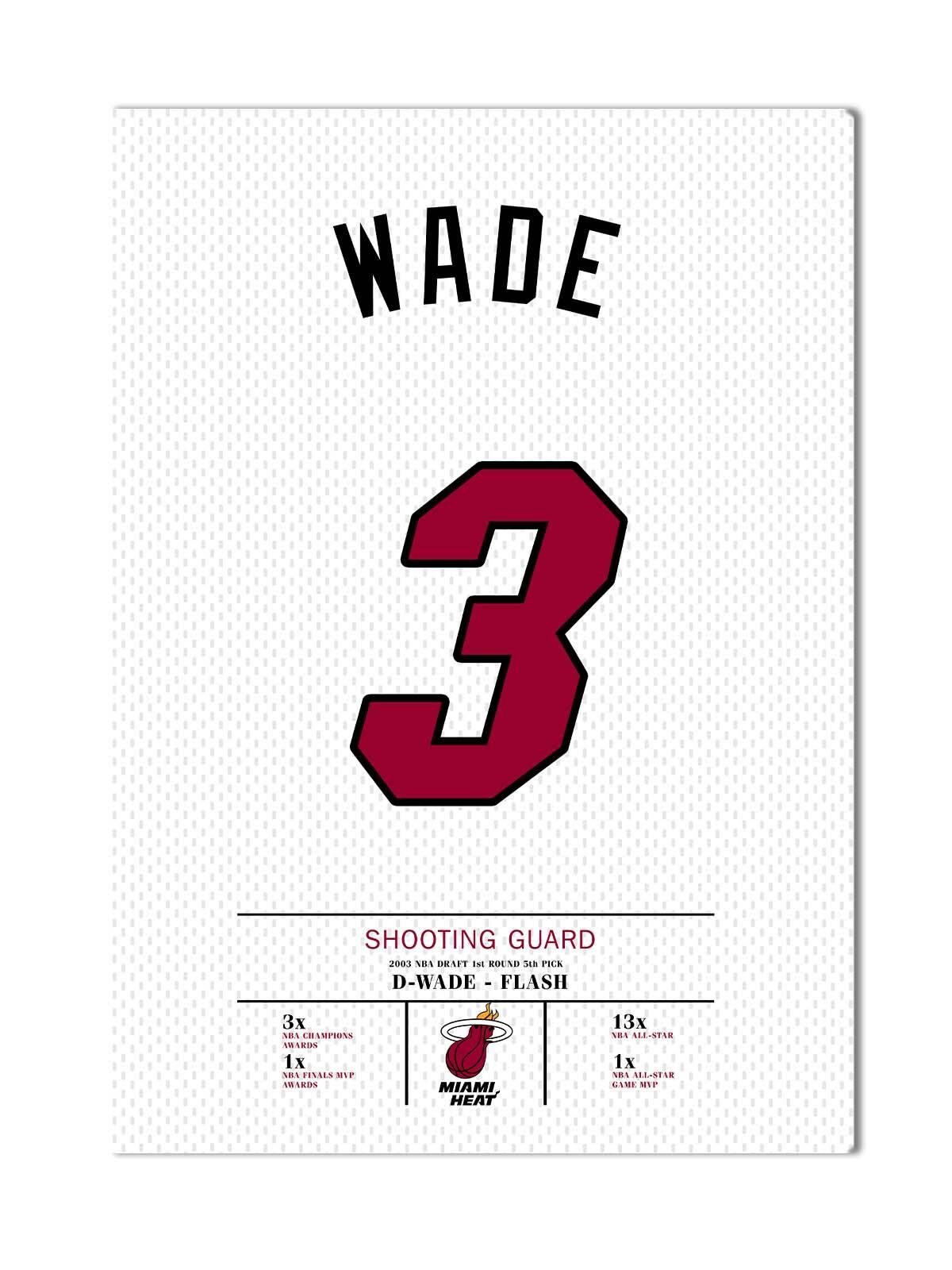 Dwyane Wade Forma Kanvas Tablo 40x55cm NBA Miami Heat Jersey