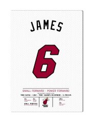 LeBron James 6 Forma Kanvas Tablo 40x55cm NBA Miami Heat Jersey