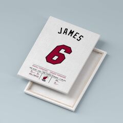 LeBron James 6 Forma Kanvas Tablo 40x55cm NBA Miami Heat Jersey