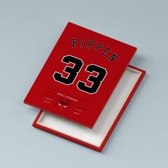 Scottie Pippen Forma Kanvas Tablo 40x55cm NBA Chicago Bulls Jersey