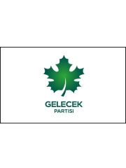 Masa Üstü Gelecek Partisi Bayrağı 15x23cm Masa Bayrağı