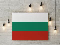 Bulgaristan Bayrağı Kanvas Tablo 40x55cm Dekoratif Tablo
