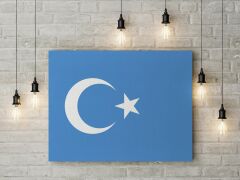 Doğu Türkistan Bayrağı Kanvas Tablo 40x55cm Dekoratif Tablo