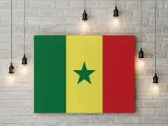 Senegal Bayrağı Kanvas Tablo 40x55cm Dekoratif Tablo