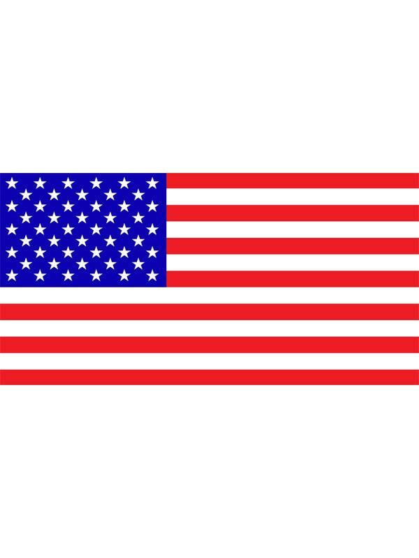 Masa Üstü Amerika Bayrağı 15x23cm Masa Bayrağı