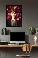 Harry Potter Çerçeveli Tablo - Film Posteri Tablo