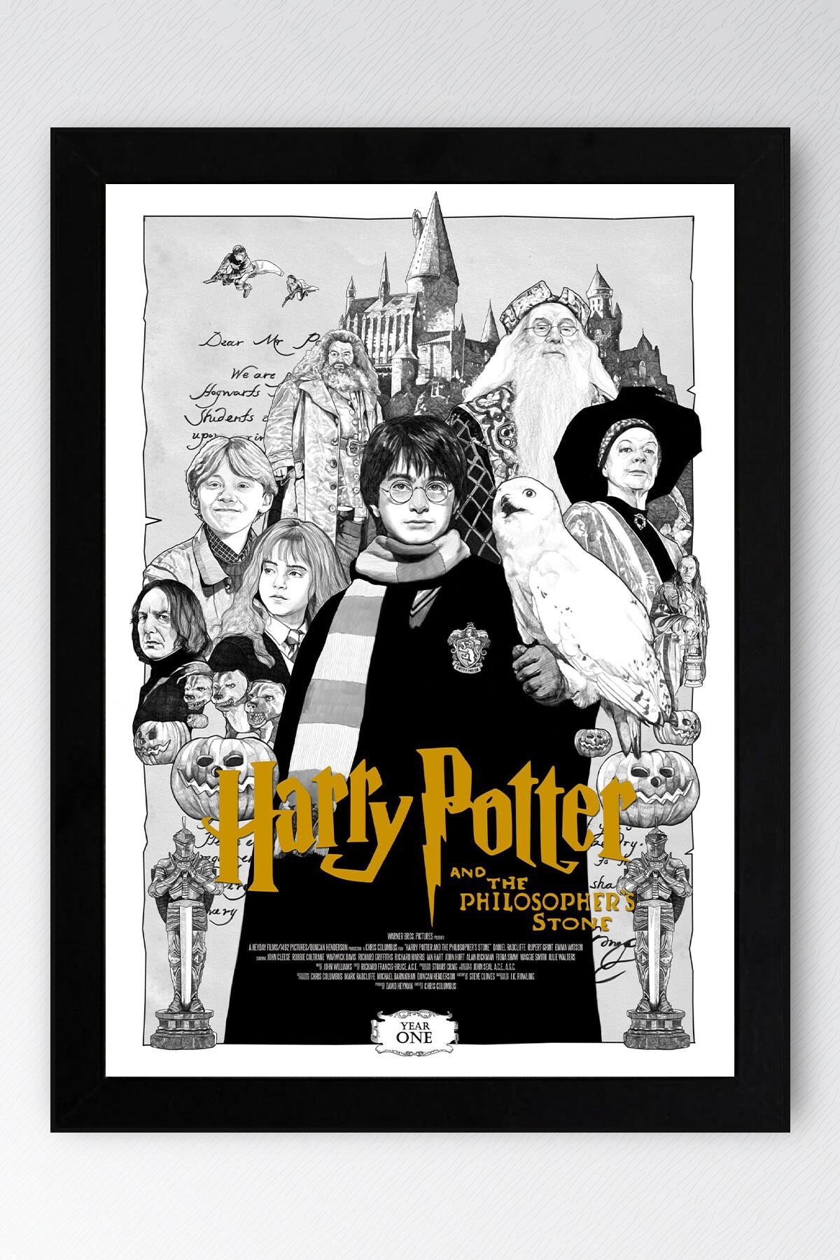 Harry Potter ve Felsefe Taşı Çerçeveli Tablo - Film Posteri Tablo