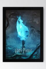 Harry Potter ve Ateş Kadehi Çerçeveli Tablo - Film Posteri Tablo