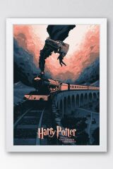 Harry Potter ve Sırlar Odası Çerçeveli Tablo - Film Posteri Tablo