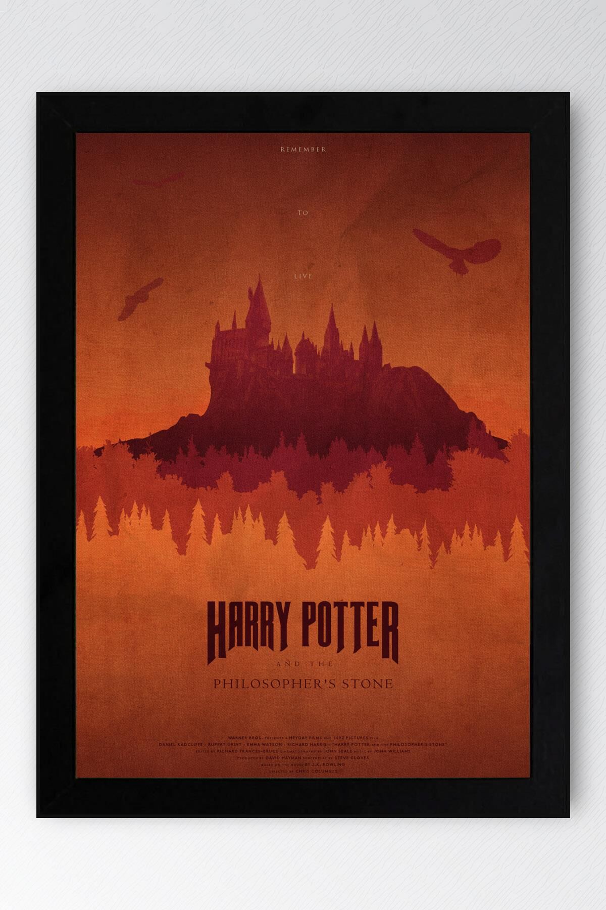 Harry Potter Çerçeveli Tablo - Film Posteri Tablo